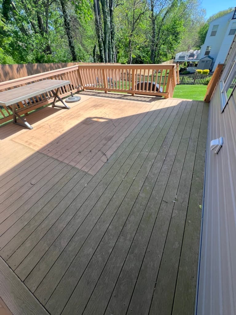 Deck Cleaning - Before cleaning