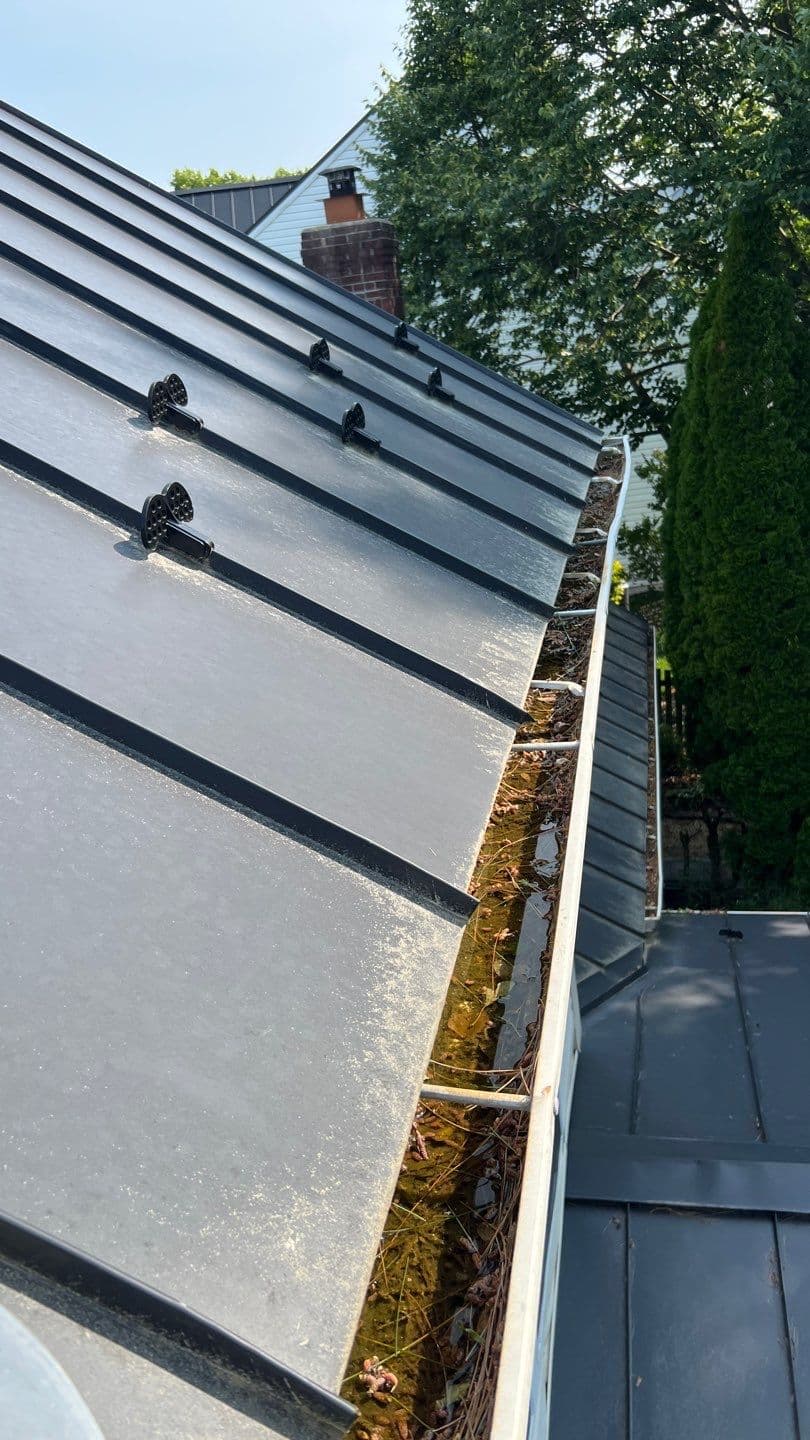 Gutter Cleaning - Before cleaning