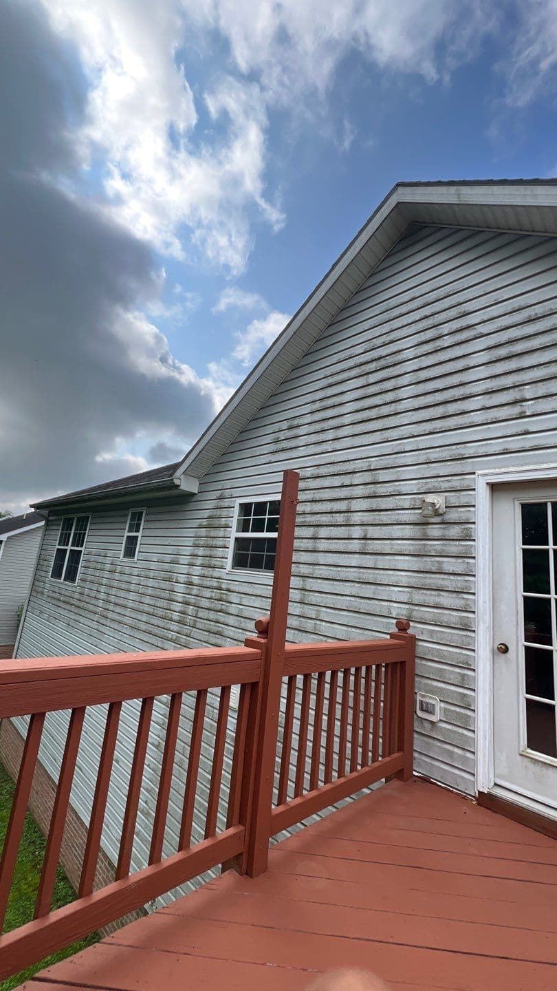 House Washing - Before cleaning