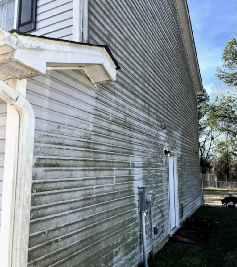 House siding before cleaning